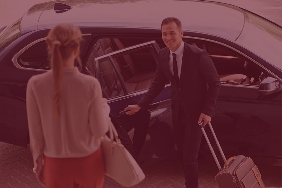 Wolf Vip Transport Hakkımızda